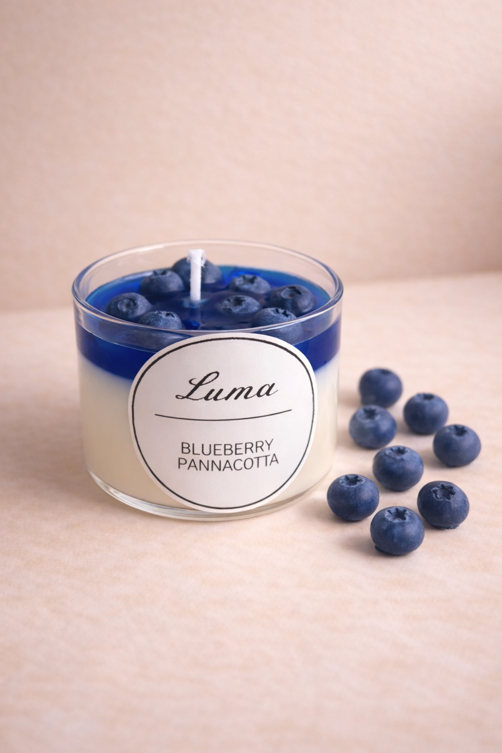 Blueberry pannacotta